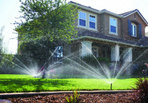 5 Tips for a Healthier August Lawn