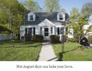 How to Care for a Lawn in August