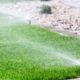 A DHI Sprinkler System Can…