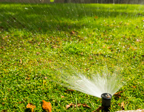 Sprinkler Blow Out